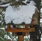 Gondoskodjunk madarainkról