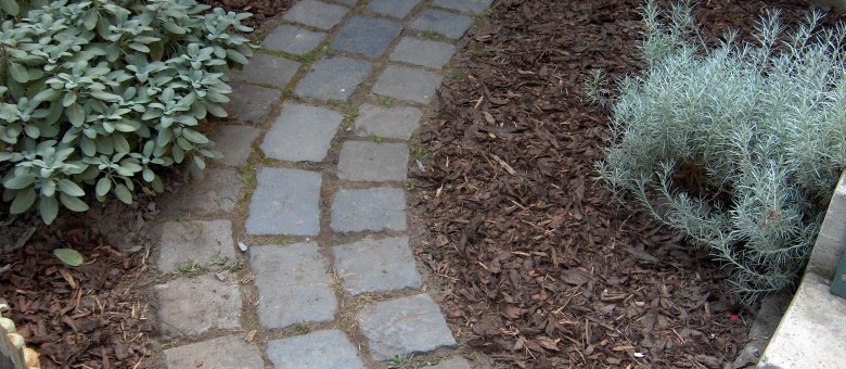 Hogyan védhetjük meg, talajainkat a kiszáradással szemben?