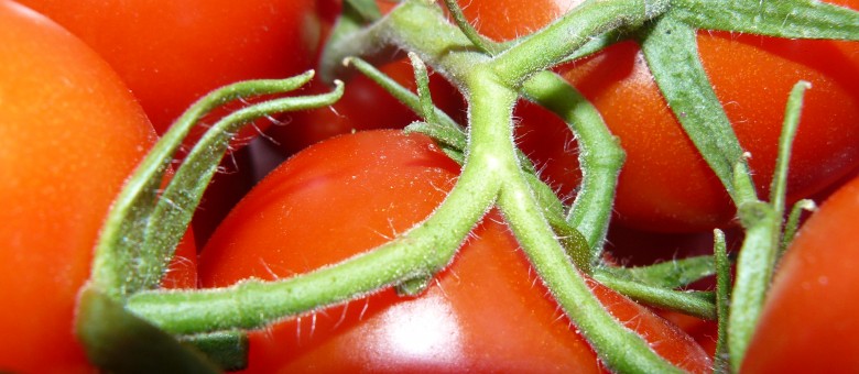 A tápelem felvételi zavarok okai