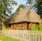 Piacról vagy saját fáról?