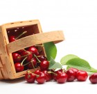 A csonthéjasok metszésekor nem szabad eltérni a menetrendtől