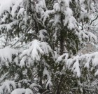 Ismét hó és mínuszok