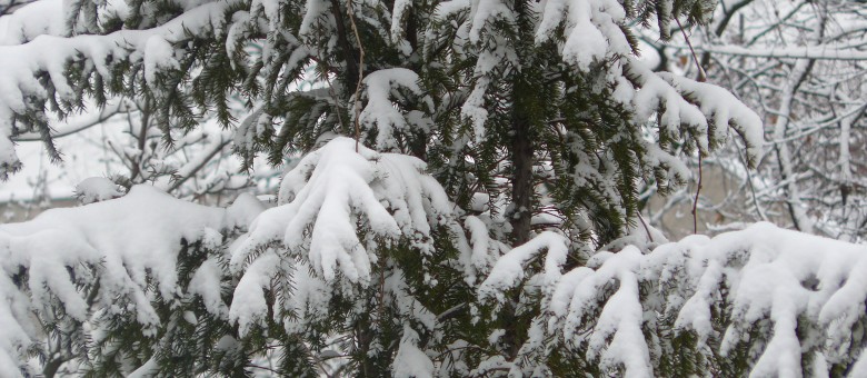 Ismét hó és mínuszok