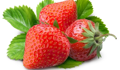 A négykézlábasok értékes rügyei