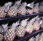 Ananász