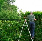 Előbb az olló, utána a slag