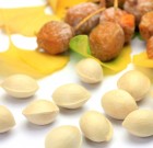 Dinoszaurusz fa Kínából