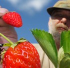 Csúsznak, másznak, bosszantanak