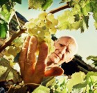 Minden levél számít