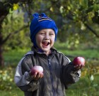 A gyümölcsfák finomhangolása
