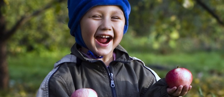 A gyümölcsfák finomhangolása