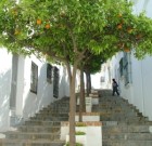 Napernyő alá bújnának a gyümölcsök is