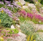 Sziklakert türelemmel