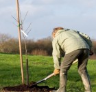Itt a gyümölcsfa ültetésének ideje