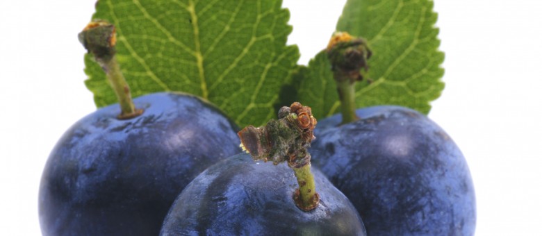 Vadat a gyümölcsöstálba