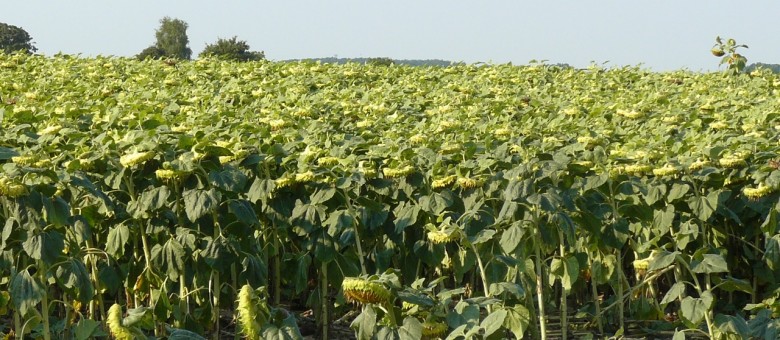 A Cosmos 500 FS, visszavonva