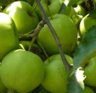 A növényvédő szerek változásairól