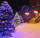 Most lehet a fenyőlutrin tenni