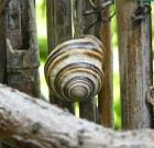 Változások a növényvédő szerek terén