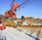 Télikabát a szőlőrügyeken