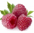 Póker Extra 80 WDG gombaölő permetezőszer néven is