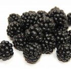 Új termék a Full 5 CS rovarölő permetezőszer