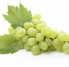 Graffiti 800 WG gombaölő permetezőszer néven is