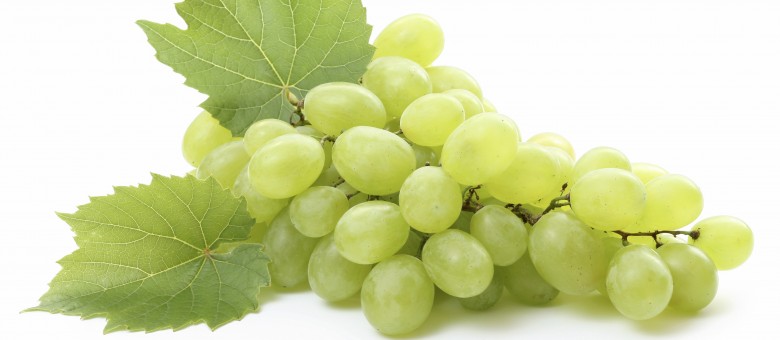 Graffiti 800 WG gombaölő permetezőszer néven is