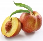 Mycostar gombaölő permetezőszer, ismét