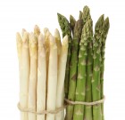 Új Tazer 250 SC gombaölő permetezőszer