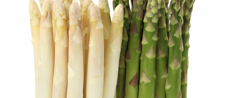 Új Tazer 250 SC gombaölő permetezőszer