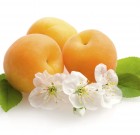 Tubosan gombaölő permetezőszer néven is