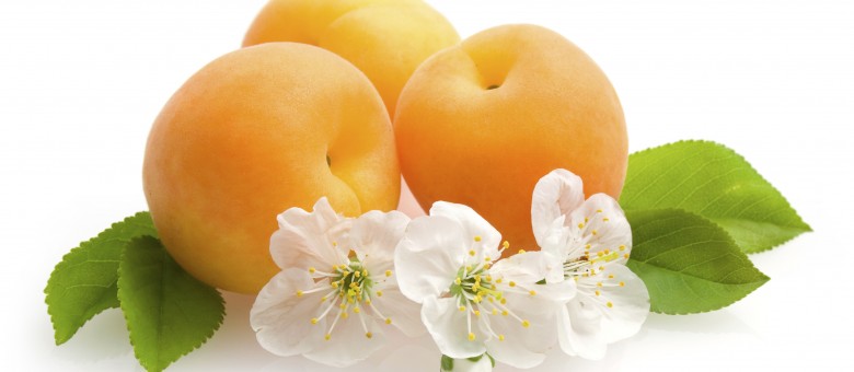 Tubosan gombaölő permetezőszer néven is