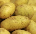 Etna 45 WG gombaölő permetezőszer néven is