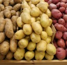 Megjelent a Quantum MZ gombaölő permetező szer