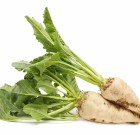 Piacon a Force 20 CS rovarölő csávázószer