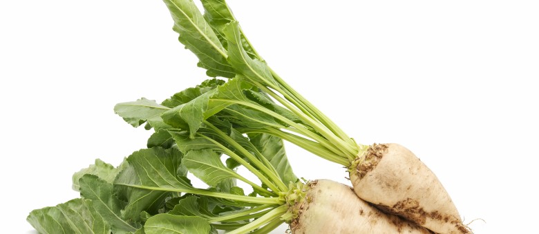 Piacon a Force 20 CS rovarölő csávázószer