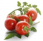 Copper Field gombaölő permetezőszer néven is