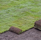 Pázsit-mester Profi gyomirtó permetezőszer néven is