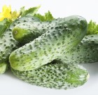 Topp 500 gombaölő permetezőszer, néven is