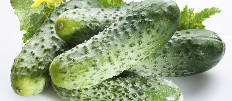 Topp 500 gombaölő permetezőszer, néven is