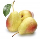 Új termék az Alsystin 480 SC rovarölő permetezőszer