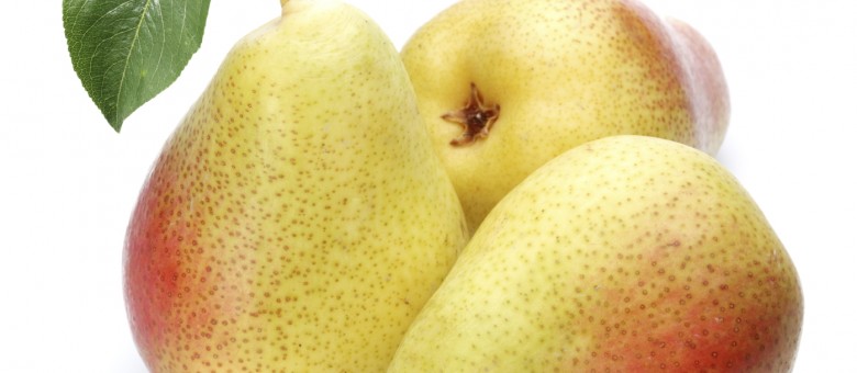 Új termék az Alsystin 480 SC rovarölő permetezőszer