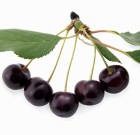 Luna Privilege új gombaölő permetező szer