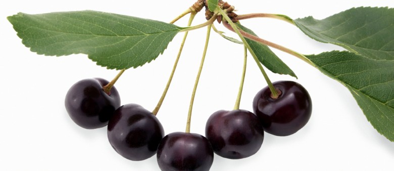 Luna Privilege új gombaölő permetező szer