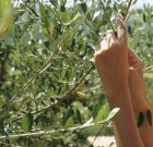 Csodafegyver a pincírozó olló