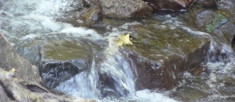 A növényvédő szerek csoportosítása /4
