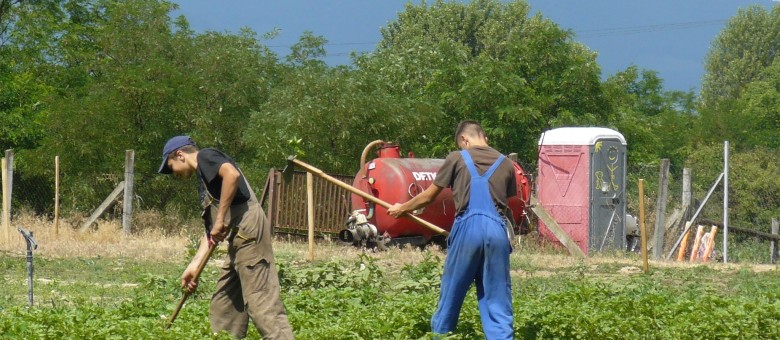 Agrotechnikai és mechanikai védekezés