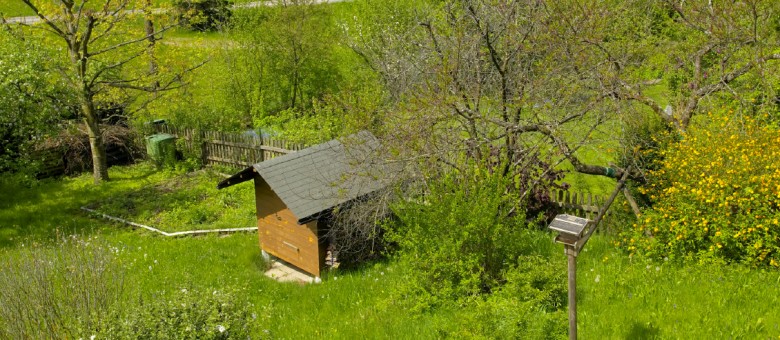 Fűnyírás spórolósan