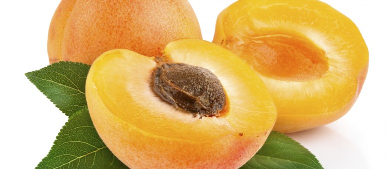 T-REX™  gyűjtőcsomagos gombaölő szer, rövid ismertetése